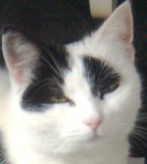 Binky