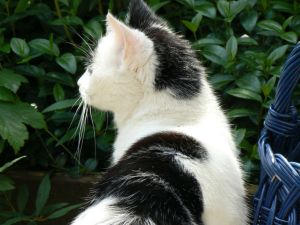 hier is hij geweestfix