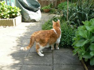 they took him backfix1