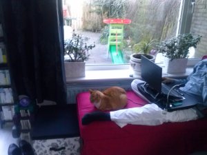 stranger and grandpa