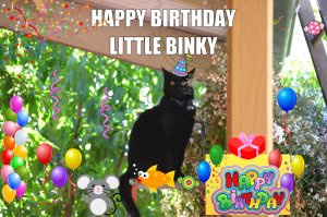 Happy Birthday Binky