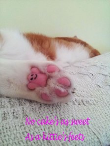 dinnermintz-tootsie-badge