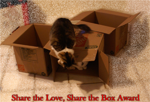 shareloveshareboxaward