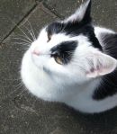 binky memorieblogfix