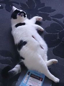 There's nothing wrong with me, it's just a treat that's lies on me.