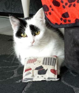 BaconShowandTell3.fix