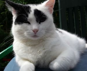 I'm finished shopping, have to eat now..