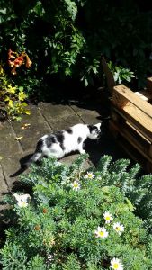 searching for angels