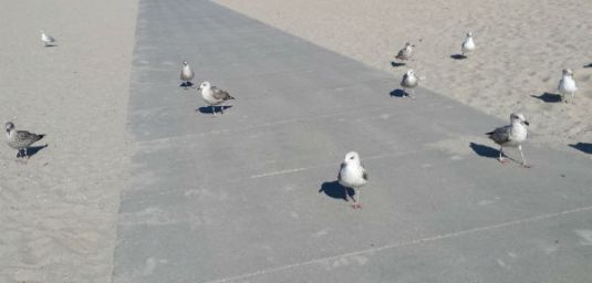 We were young..love is a battlefield...