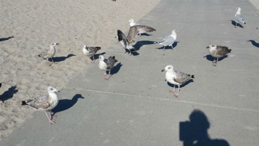 just one more time...