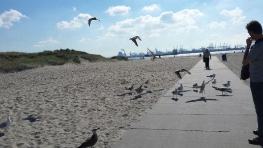 Grandpa on the right..