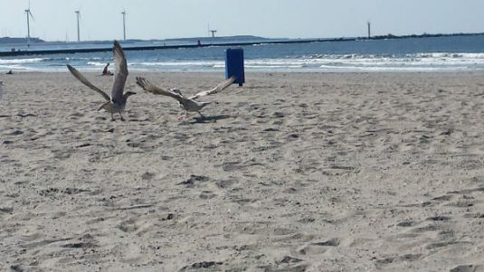 Don't you dare come nearer..it's Granny of Little Binky