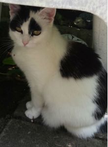 Hiding with a little spider