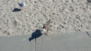 Mum and Baby..or the other way around...