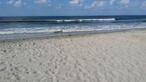 Hoek van Holland Beach