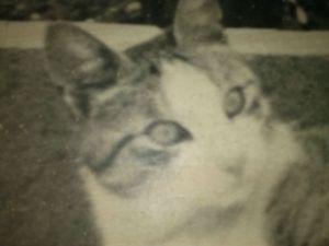 Muschy in the garden