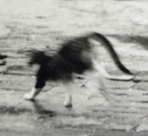 Muschy is making a binky :D