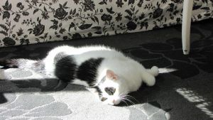 I think it's better outside