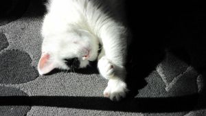 Just one more minute