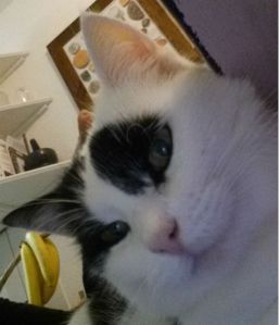 Sunday Selfie 9-11-2014.3