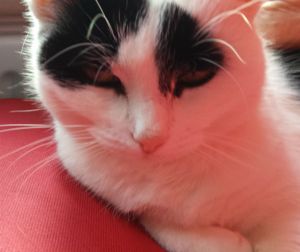 Sunday Selfie 9-11-2014