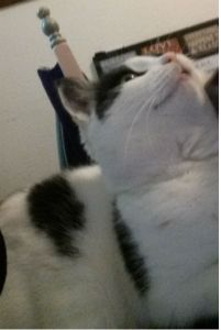 AfterChristmasSelfie