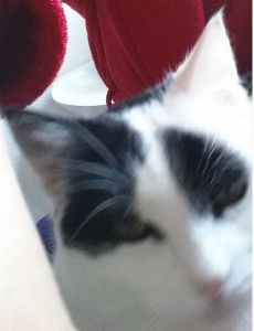 AfterChristmasSelfie1