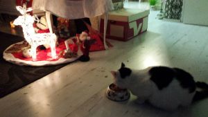 Christmas dinner 2014