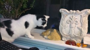 You better get out of here...