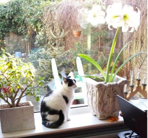 what makes me family