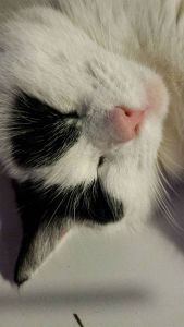 selfie with eyes closed