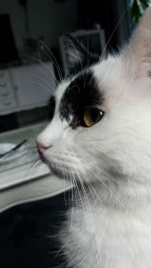 show my left side selfie0