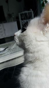 show my left side selfie0