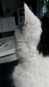 show my left side selfie0