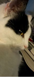 something in the air selfies0