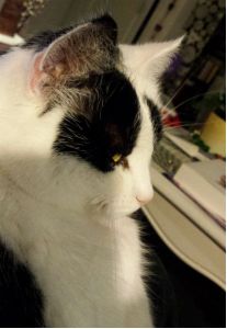 something in the air selfies0