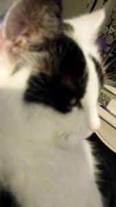 something in the air selfies0