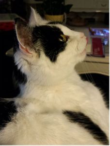 something in the air selfies0