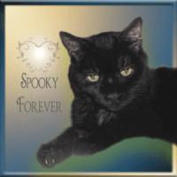Spooky-FOREVER