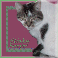stinky-forever