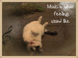 Binky oilpaint notes1