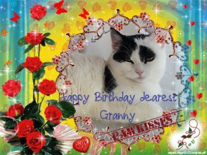 HappyBirthdayGranny1