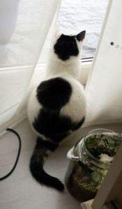 secondquotechallenge