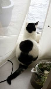 secondquotechallenge