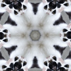 Binkyfunny.pho.to_kaleidoscope