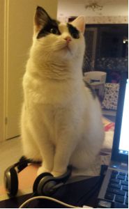 HustleandBustleSelfies