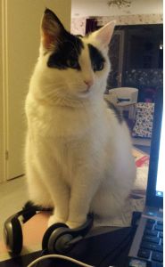 HustleandBustleSelfies