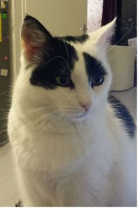 HustleandBustleSelfies