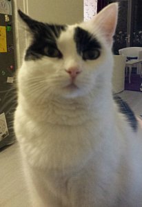 HustleandBustleSelfies