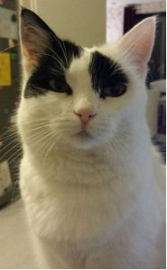 HustleandBustleSelfies